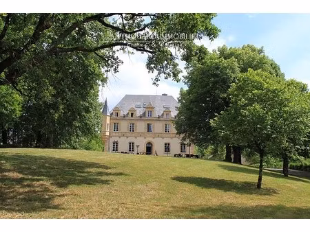château à vendre à montignac