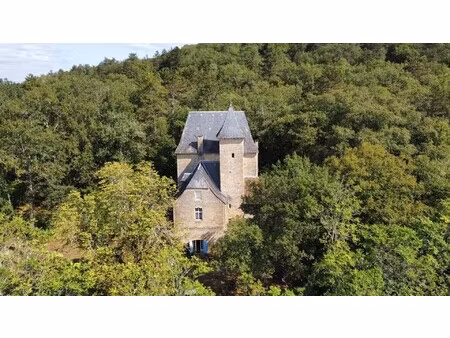 maison de luxe à vendre à montignac
