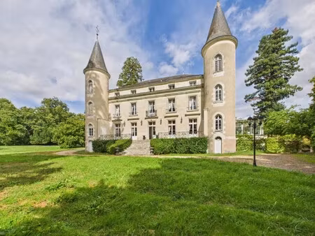 château à vendre à tournon-saint-pierre
