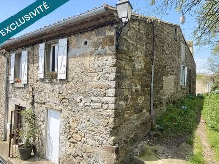 ravissante maison en pierre d'environ 100m² entièrement rénovée avec une jolie cour intimi