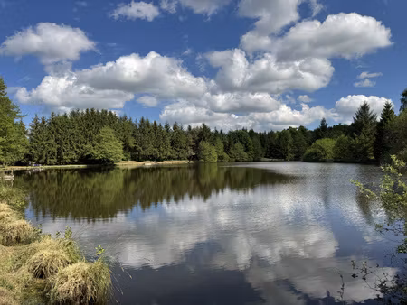 ensemble de 2 grands etangs dans le morvan