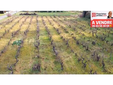 terrain plein sud à sainte cécile les vignes