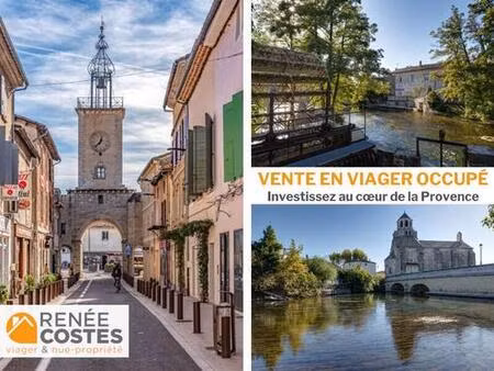 viager occupé - f77 ans - l isle sur la sorgue (84800)