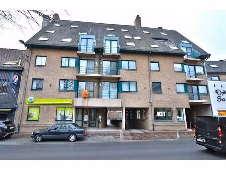 appartement te huur in zwevegem met 1 slaapkamer