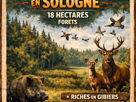 vente terrain 153 854 m²