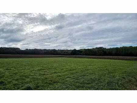 terrain constructible