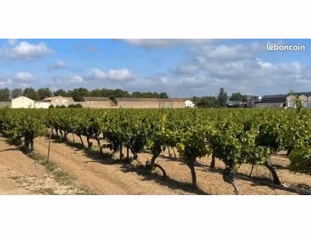 terrain 534 m² canet