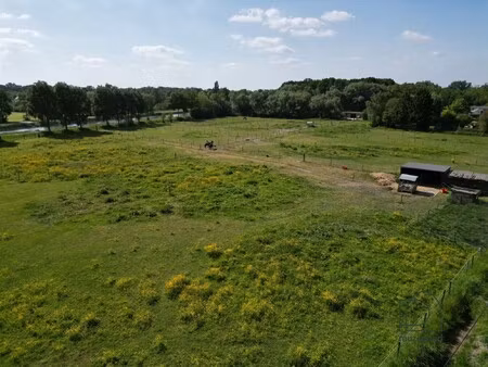 landbouwgrond in boortmeerbeek - paardenweide - 2 5 ha