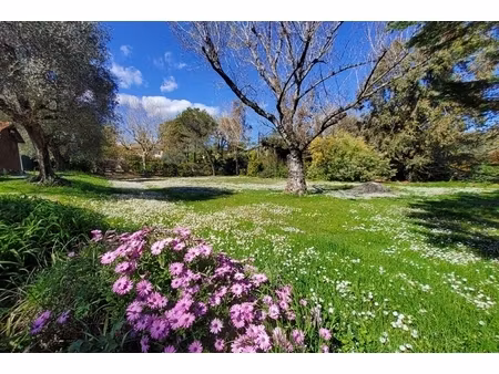 annonce terrain à vendre