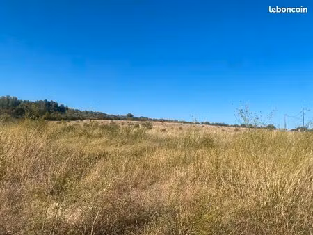 terrain 503 m² portel des corbieres