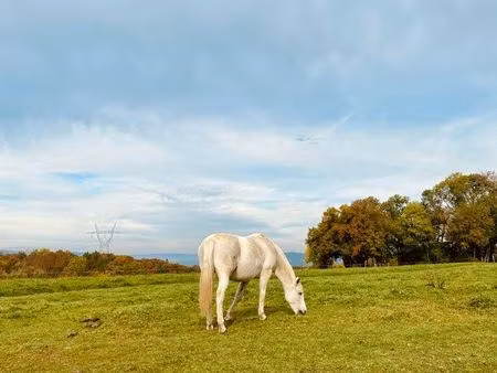 recherche terrain agricole à louer