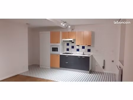 appartement 2 pieces 44 m2 rc