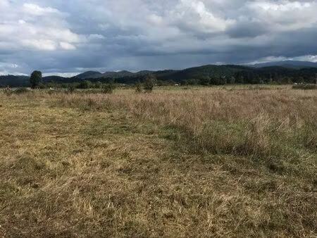 annonce – parcelle agricole 4 075 m² – pointis-inard