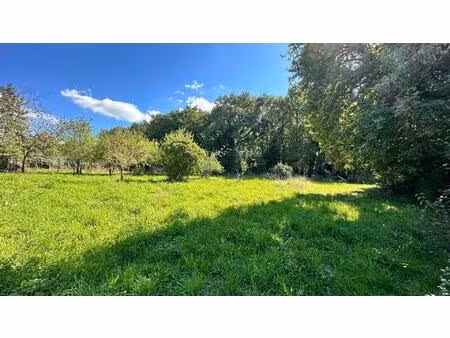 vente terrain 1904 m² chaniers (17610)