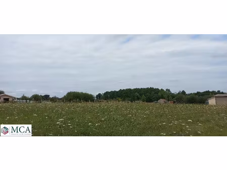 vente terrain 1600 m² montpon-ménestérol (24700)