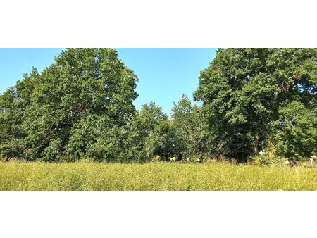 vente terrain 3300 m² montpon-ménestérol (24700)