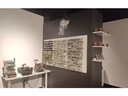 saint-pierre-d'irube (64990)