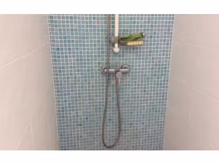 tournefeuille (31170)