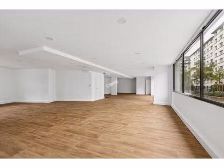 location local professionnel 245m²