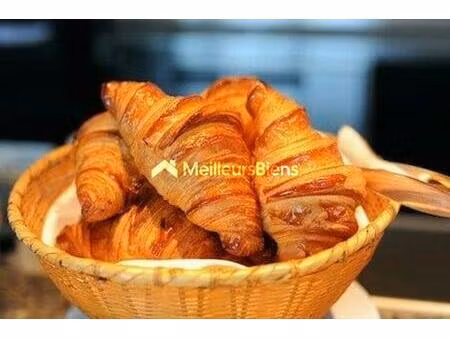 local commercial et artisanal 85m² + 51m² d annexes