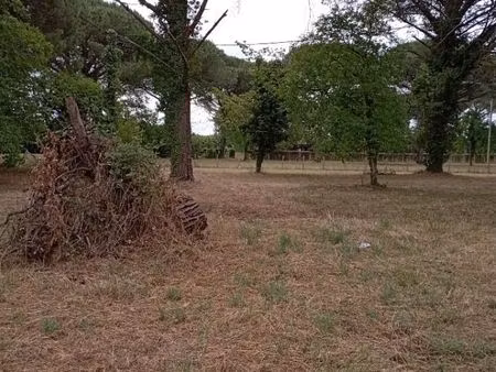 vente terrain 1030 m² langon (33210)