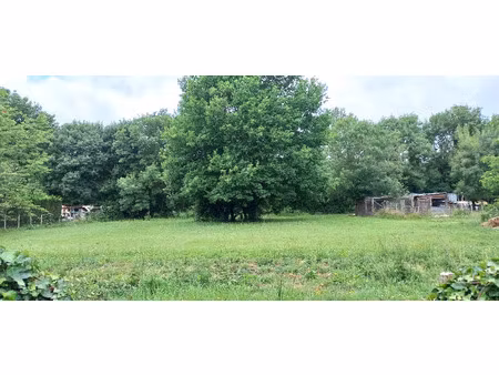 vente terrain 1400 m² ménesplet (24700)