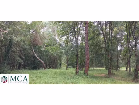 vente terrain 1484 m² ménesplet (24700)