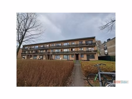 appartement te huur in westmalle met 3 slaapkamers