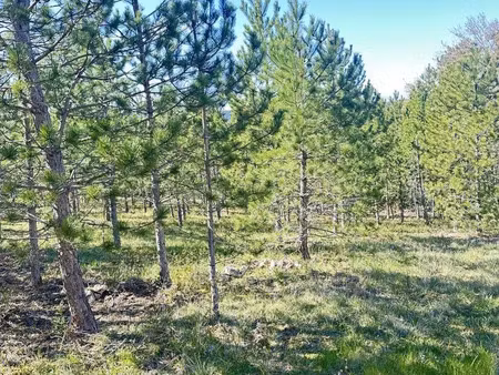 vente terrain à mollans-sur-ouvèze (26170) : à vendre / 512m² mollans-sur-ouvèze