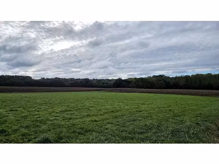 vente terrain 7000 m² panjas (32110)