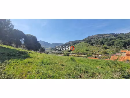 vente terrain collioure 66190 - - surface privée