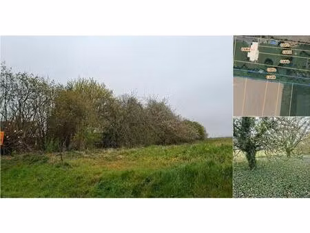 terrain à vendre à chemin des hayette solre-sur-sambre (vbe05347)