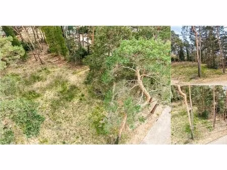 terrain à vendre à vredelaan 6 tremelo (rbv61904)