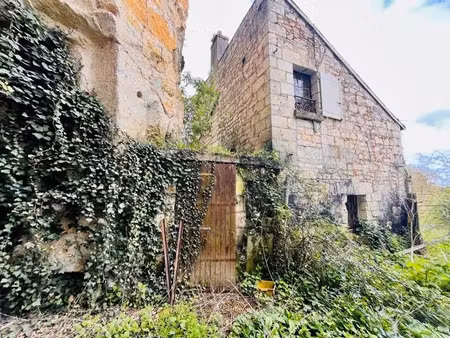 vente maison à parnay (49730) : à vendre / 65m² parnay