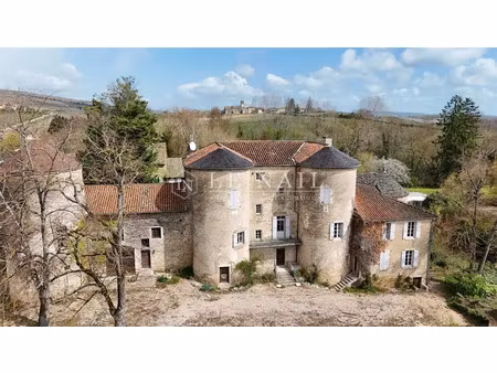 vente demeure d'exception piscine à varennes-lès-mâcon (71000) : à vendre piscine / 930m² 