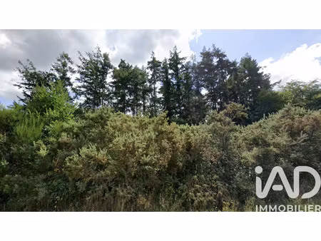 vente terrain à saint-julien (22940) : à vendre / 1649m² saint-julien