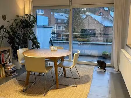 magnifique duplex lumineux 3 ch.  2 sdb  terrasse