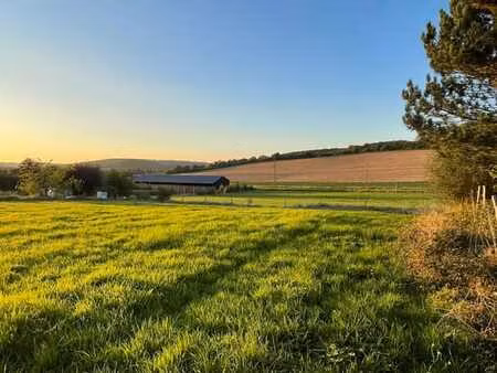 terrains à bâtir à vendre - cadre verdoyant
