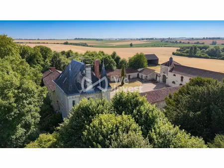 vente manoir 20 pièces 530 m² à faye-la-vineuse (37120)  894 000 €