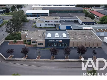 vente commerce 776 m² illkirch-graffenstaden (67400)
