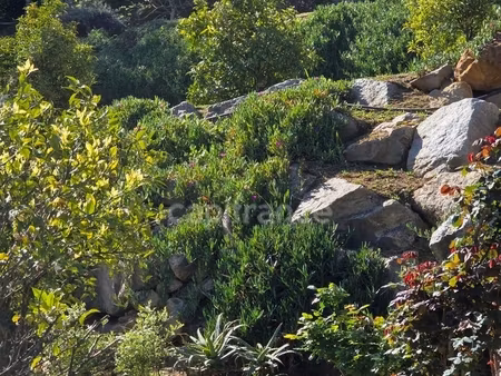 bastelicaccia (corse du sud) proche ajaccio: villa de 360m2 avec piscine et jardin paysage