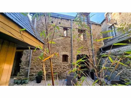 dinan - maison de caractère au coeur de la vallée  près de la rivière - grand jardin avec.