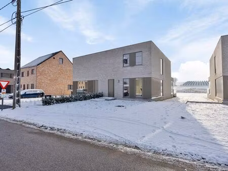 maison à vendre à assent € 521.030 (lmv3p) | zimmo