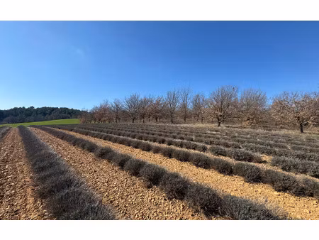 terrain roumoules m² t- à vendre  118 000 €