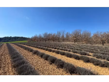 terrain roumoules m² t- à vendre  97 000 €