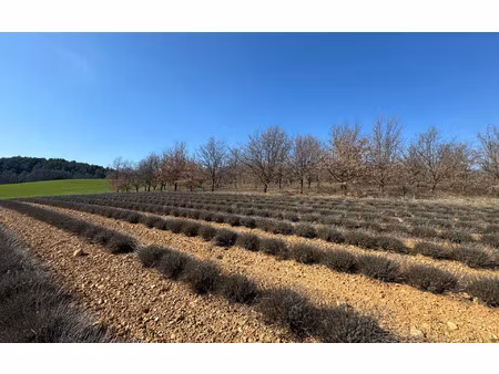 terrain roumoules m² t- à vendre  98 000 €