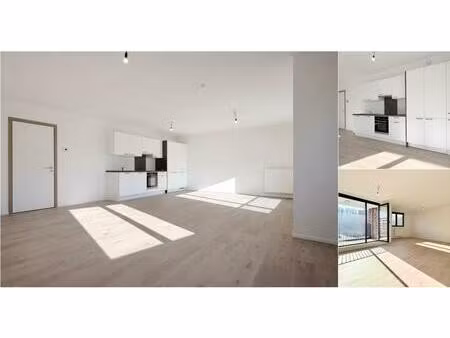 appartement à louer avec terrasse et jardin   dave (vbe05862)