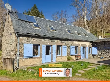 maison de caractère avec 2 gîtes - saint bonnet pres orcival (63)