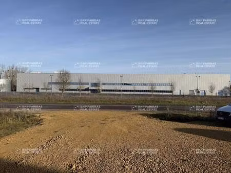 local d'activités à louer