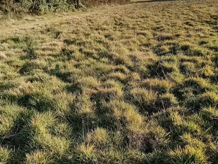terrain à vendre